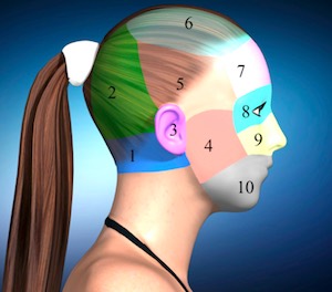 symptom-tracking-cervical-head-face
